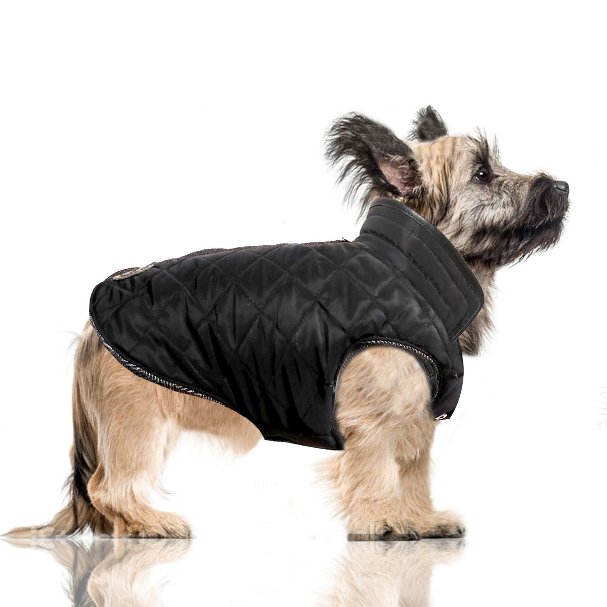 graham reversible fauxfur puffer jacket black/grey barking babies