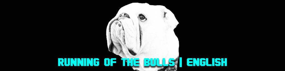 PET-A-PALOOZA 2019 RUNING OF THE BULLS - ENGLISH