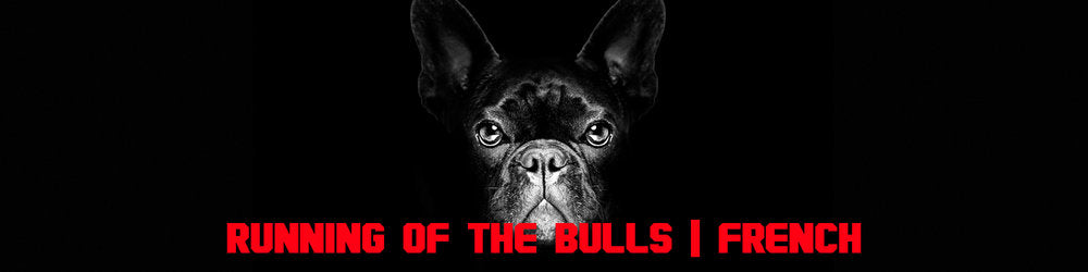 PET-A-PALOOZA 2019 RUNNING OF THE BULLS - FRENCH