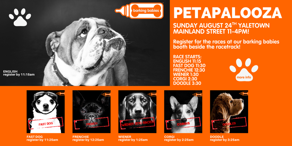 PETAPALOOZA AUGUST 24TH 2025