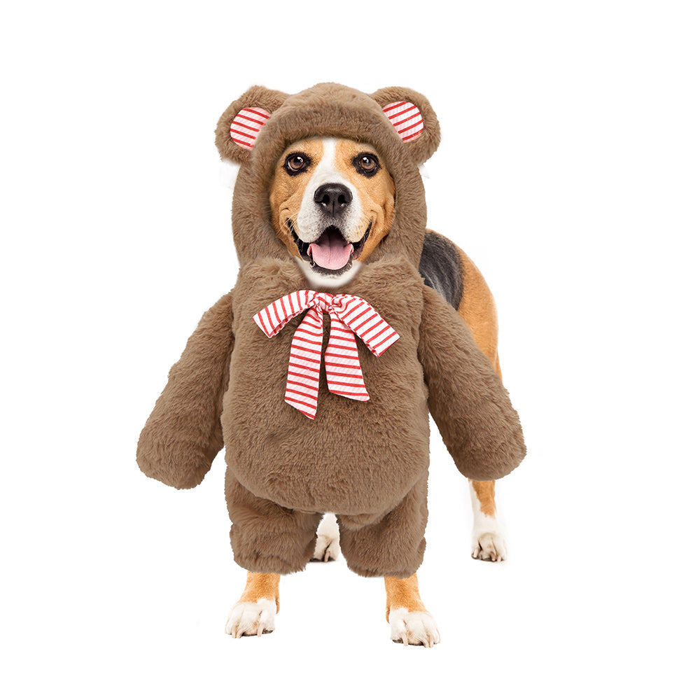 the teddy costume