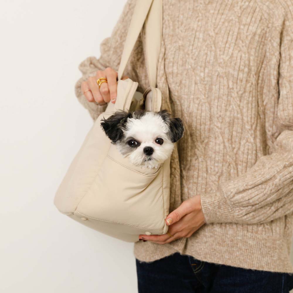 Dog carrier discount french bulldog