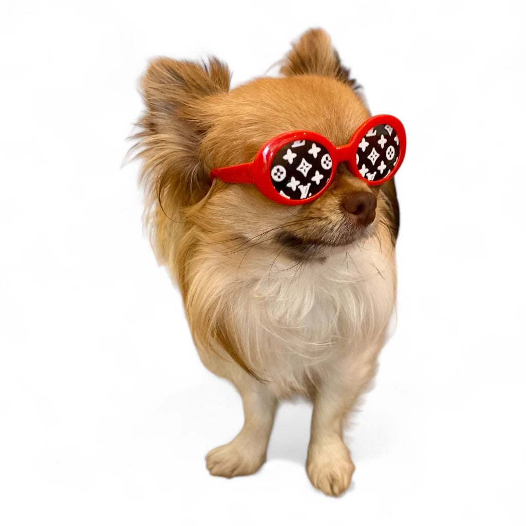 Red dog sunglasses discount
