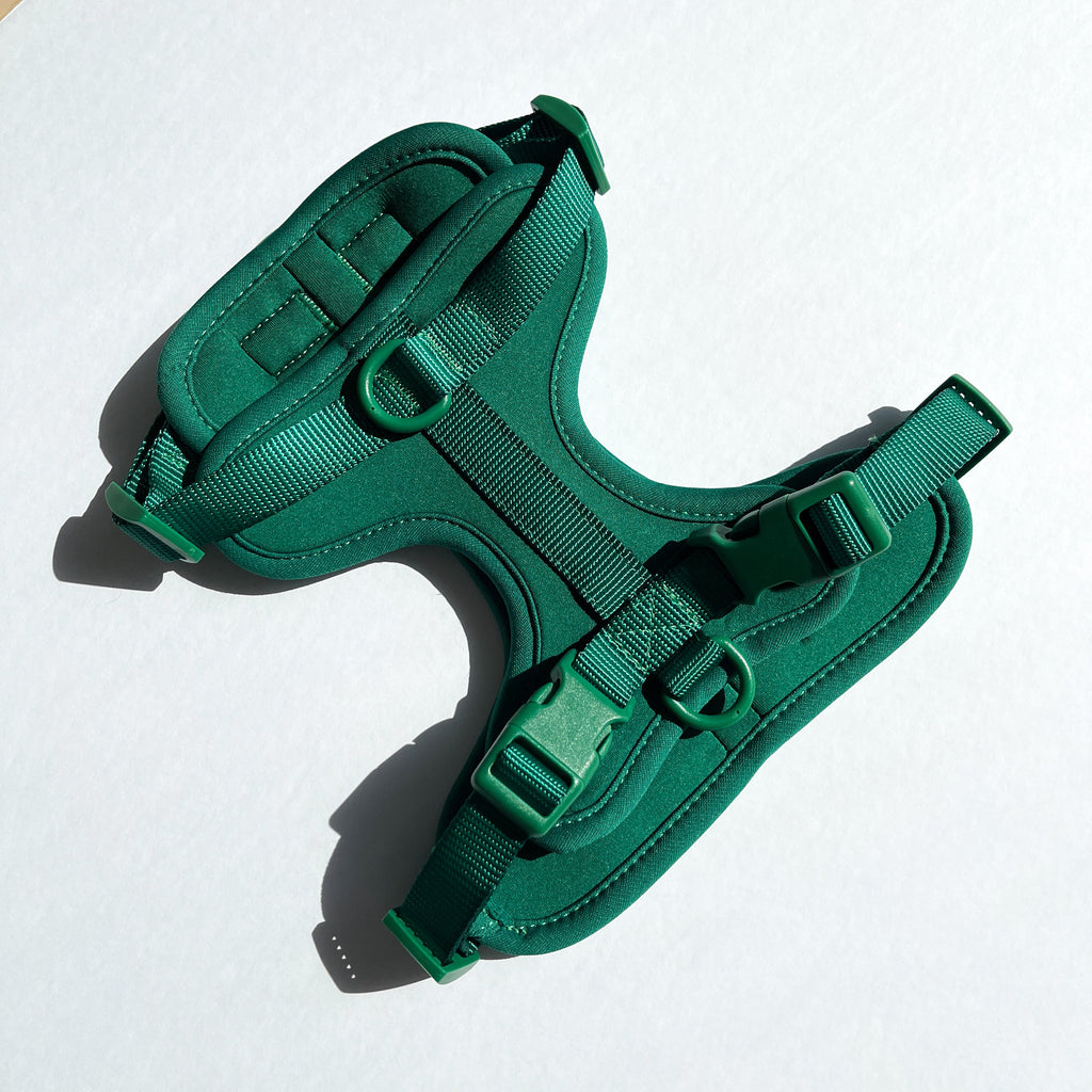 barking buddies harness - green
