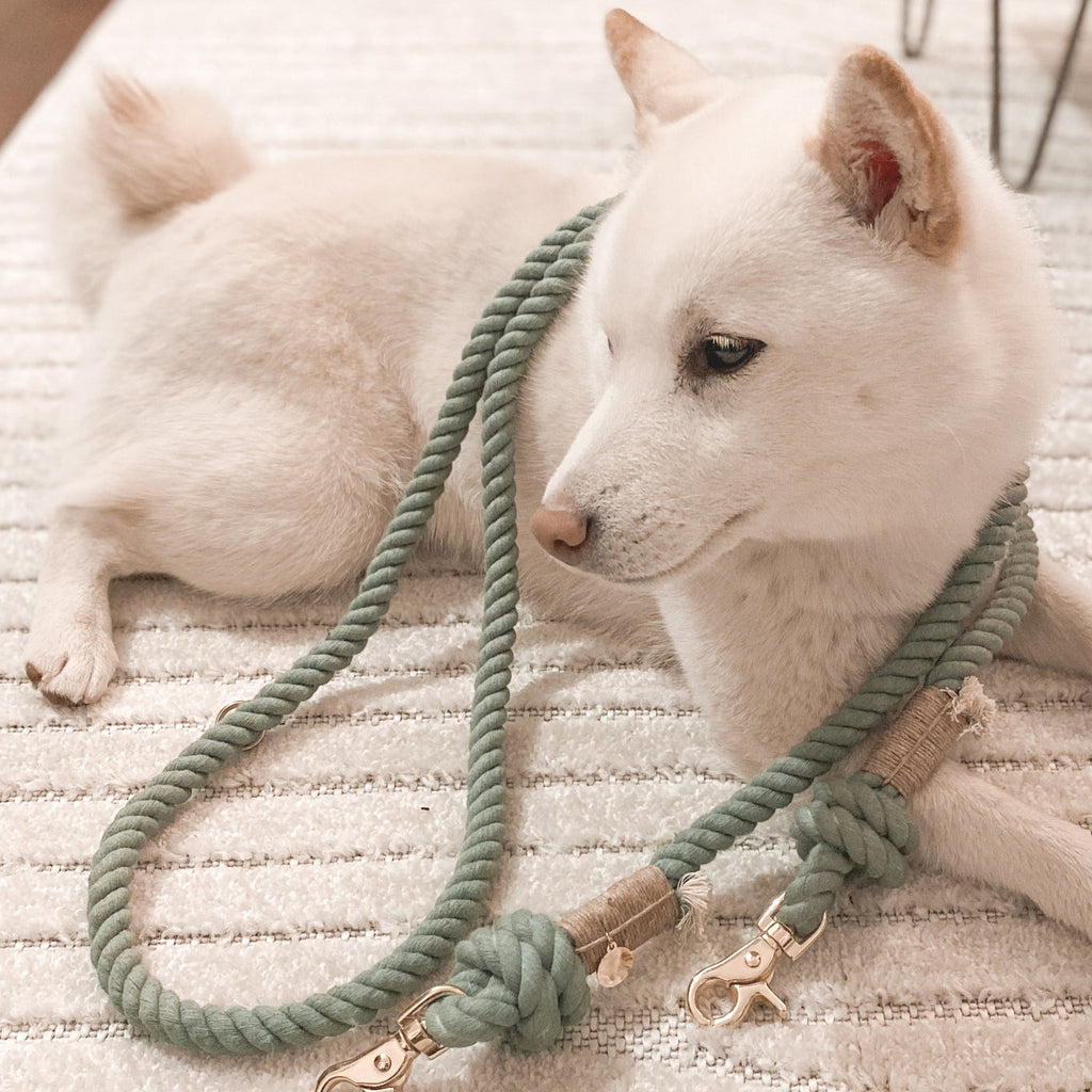 furlou rope leash - desert sage