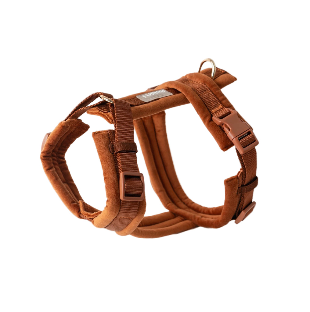 Brown dog harness on a white background