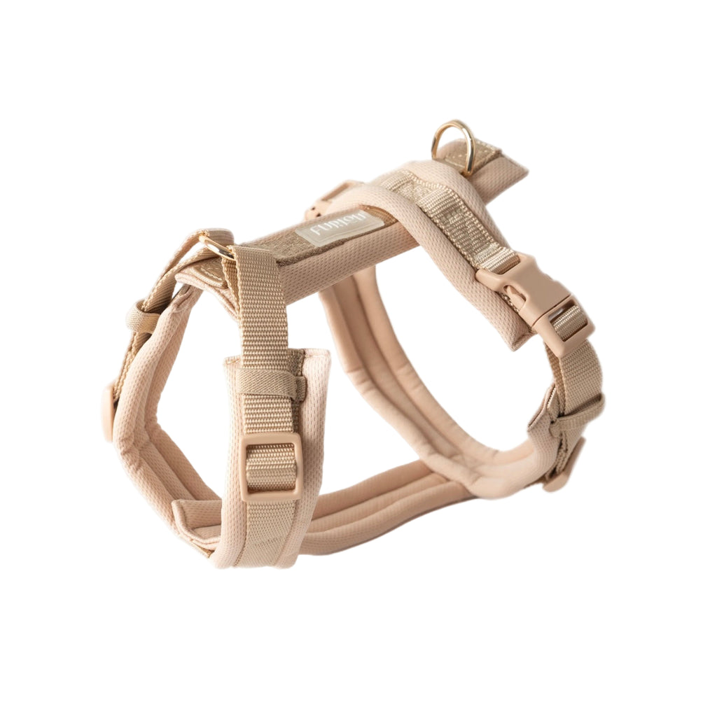 Beige dog harness on a white background