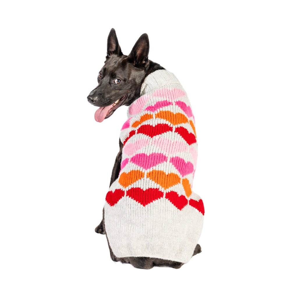 Dog wearing a colorful sweater with heart patterns on a white background