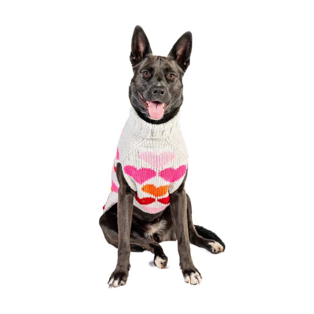 Dog wearing a sweater with heart pattern on a white background