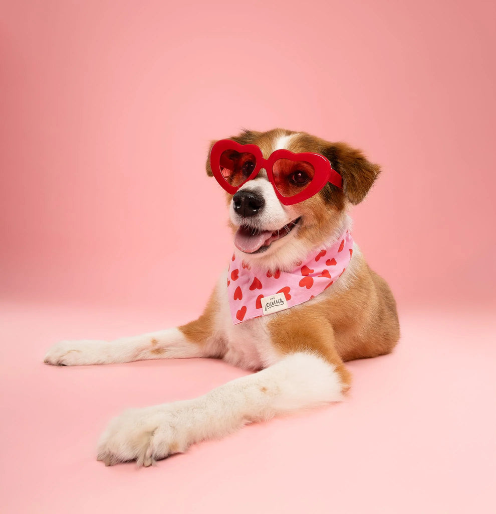 Dog wearing heart-shaped sunglasses and a pink bandana on a pink background