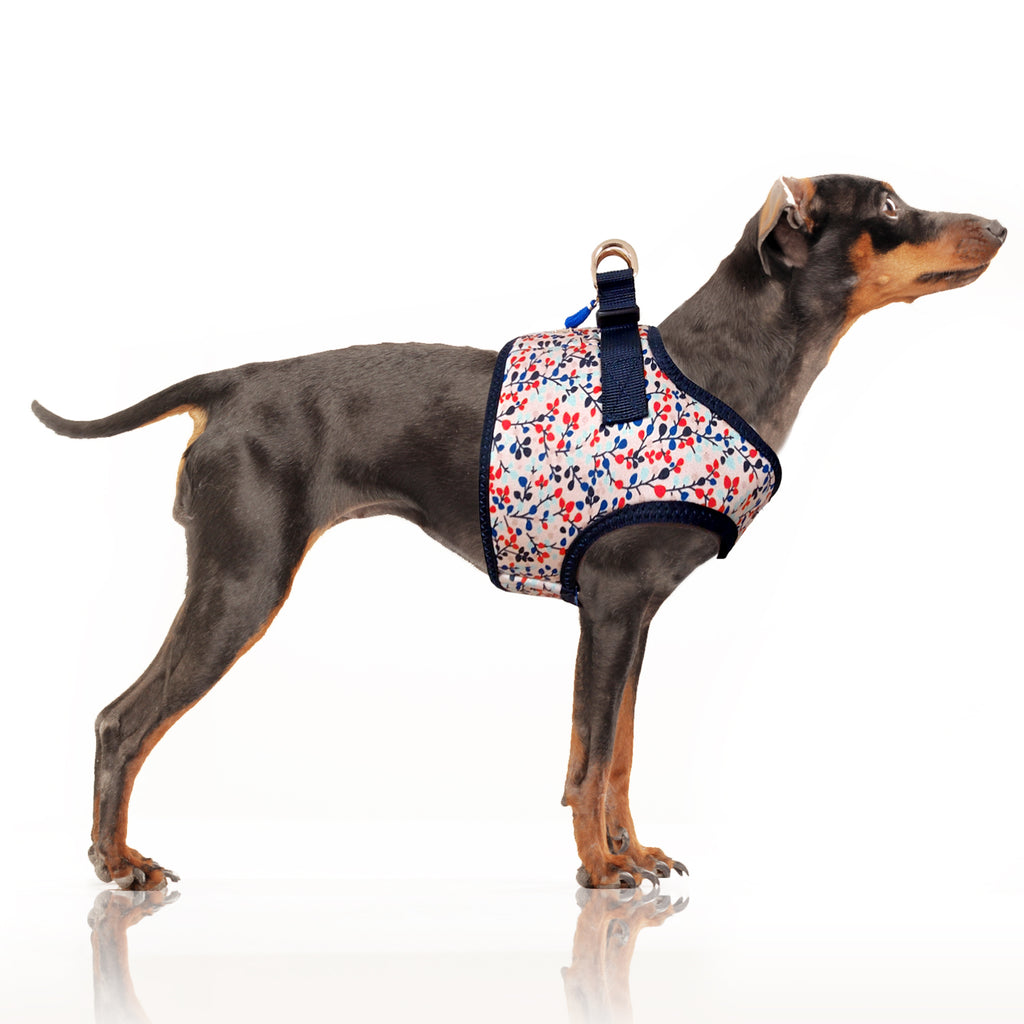 manon floral harness - rose