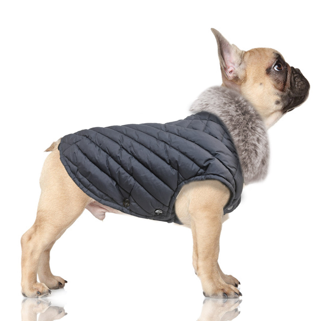 alois puffer jacket - navy blue (fits deep-chested breeds)
