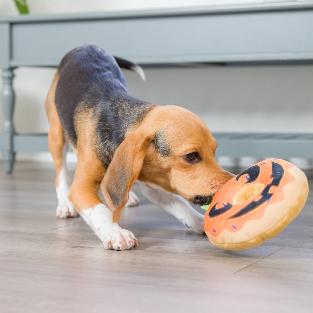 pumpkin donut toy