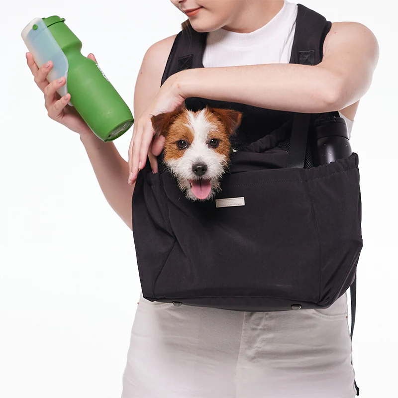 Person holding a black pet carrier with a small dog peeking out, also holding a green bottle.