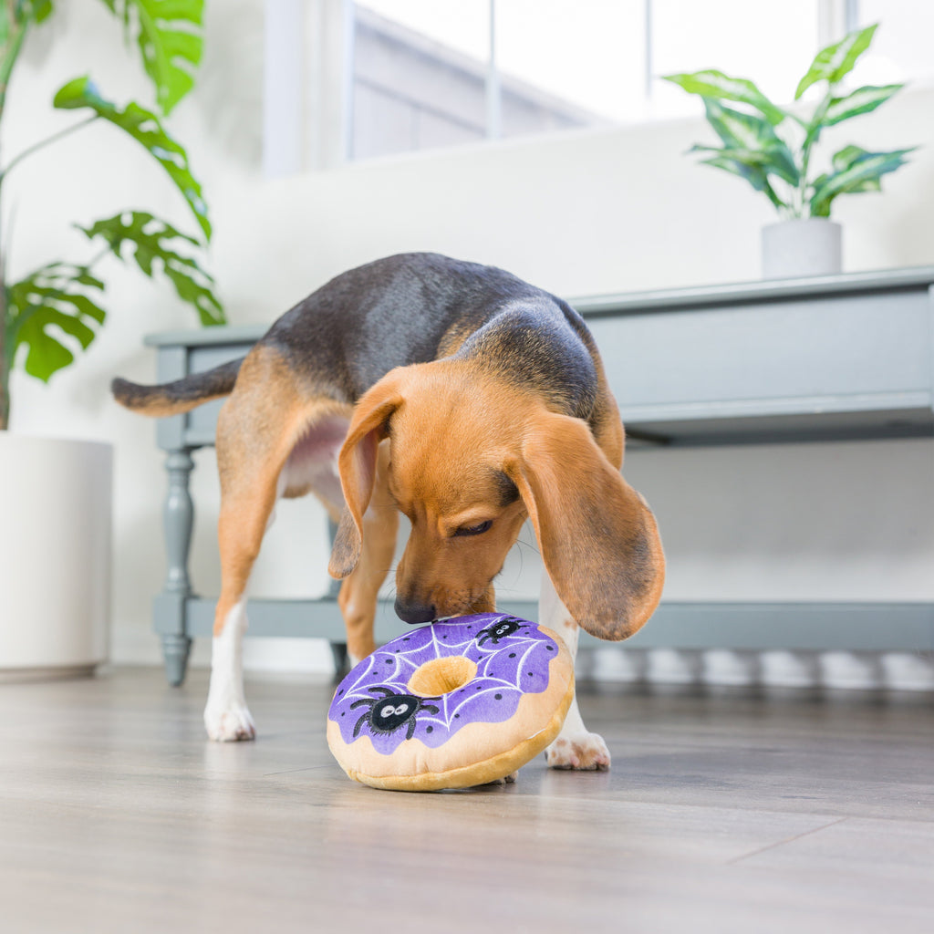 spiderweb donut toy
