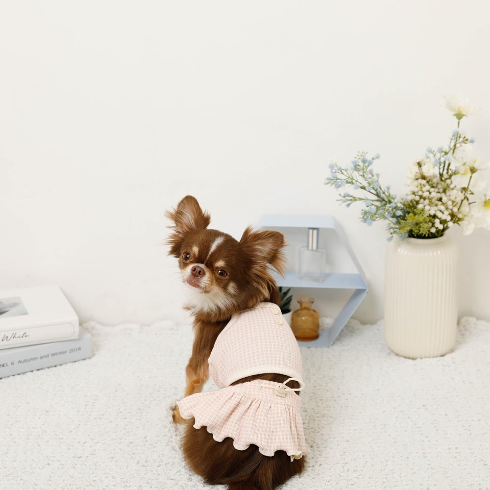 Small dog wearing a pink outfit sitting on a white carpet with a vase of flowers in the background.