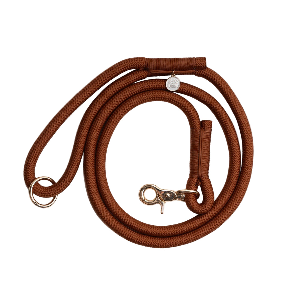 Brown dog leash with metal clip on a white background