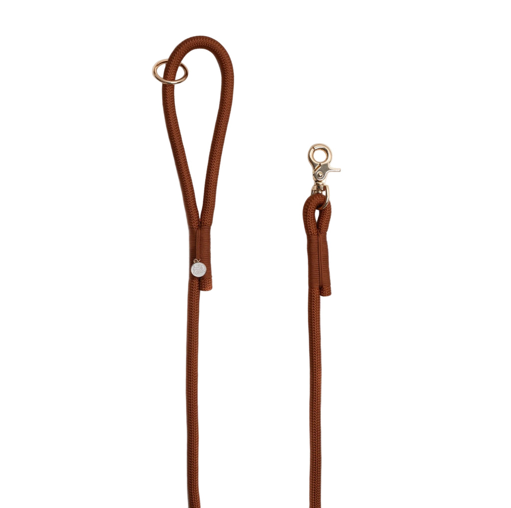 Brown leather dog leash with metal clips on a white background