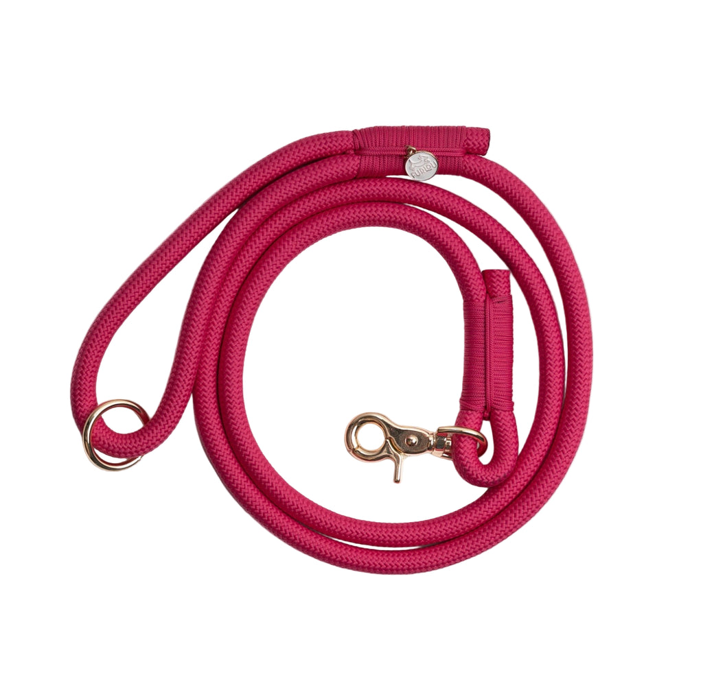 Pink dog leash with brass clasp on a white background