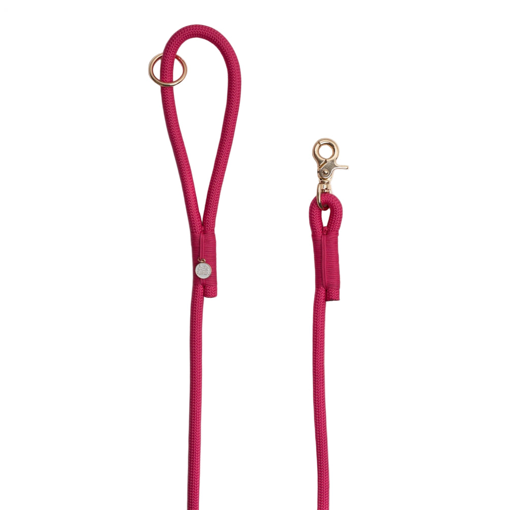Pink dog leash with gold clasp on a white background