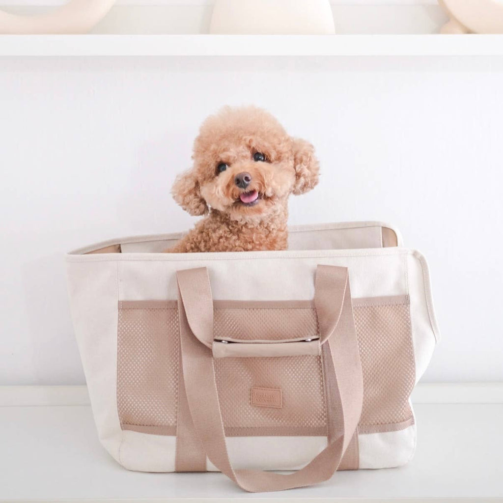 Small dog sitting inside a beige and white pet carrier on a light background