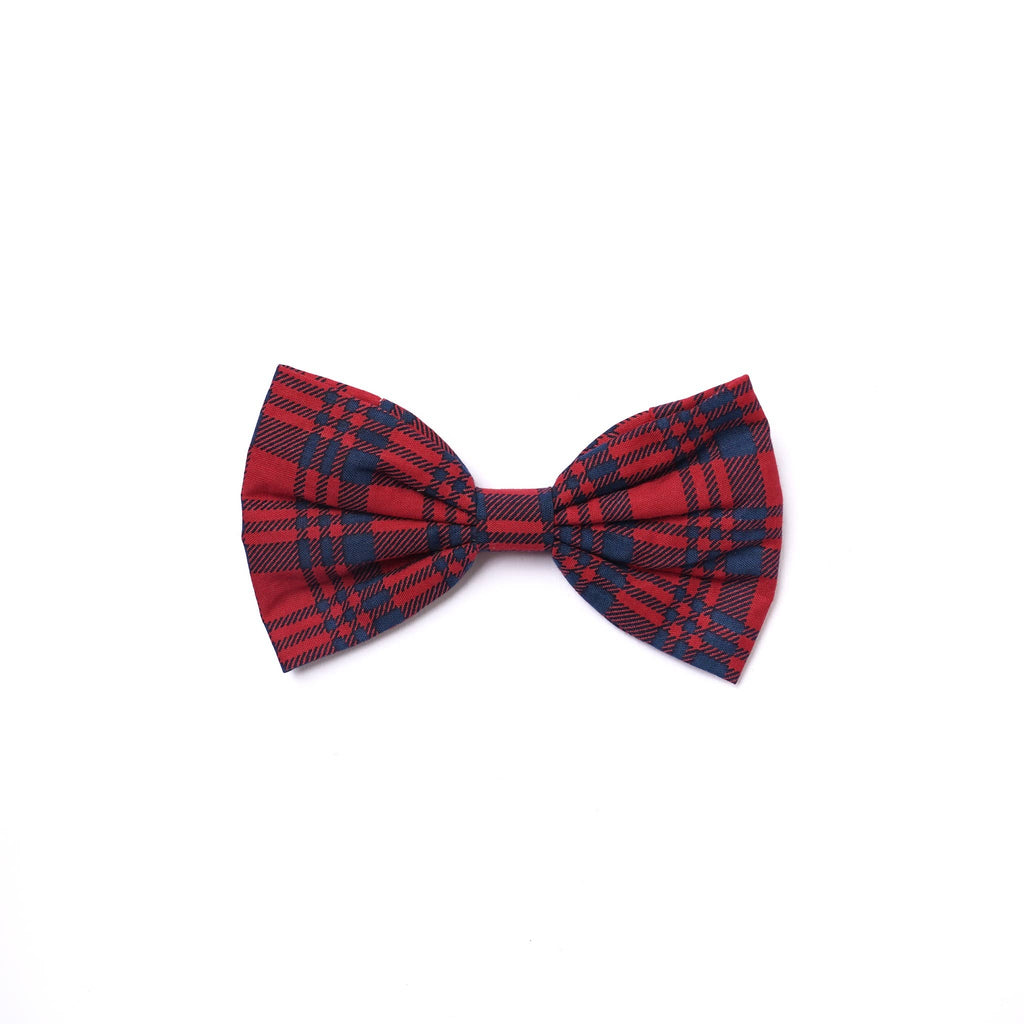 Red and blue plaid bow tie on a white background