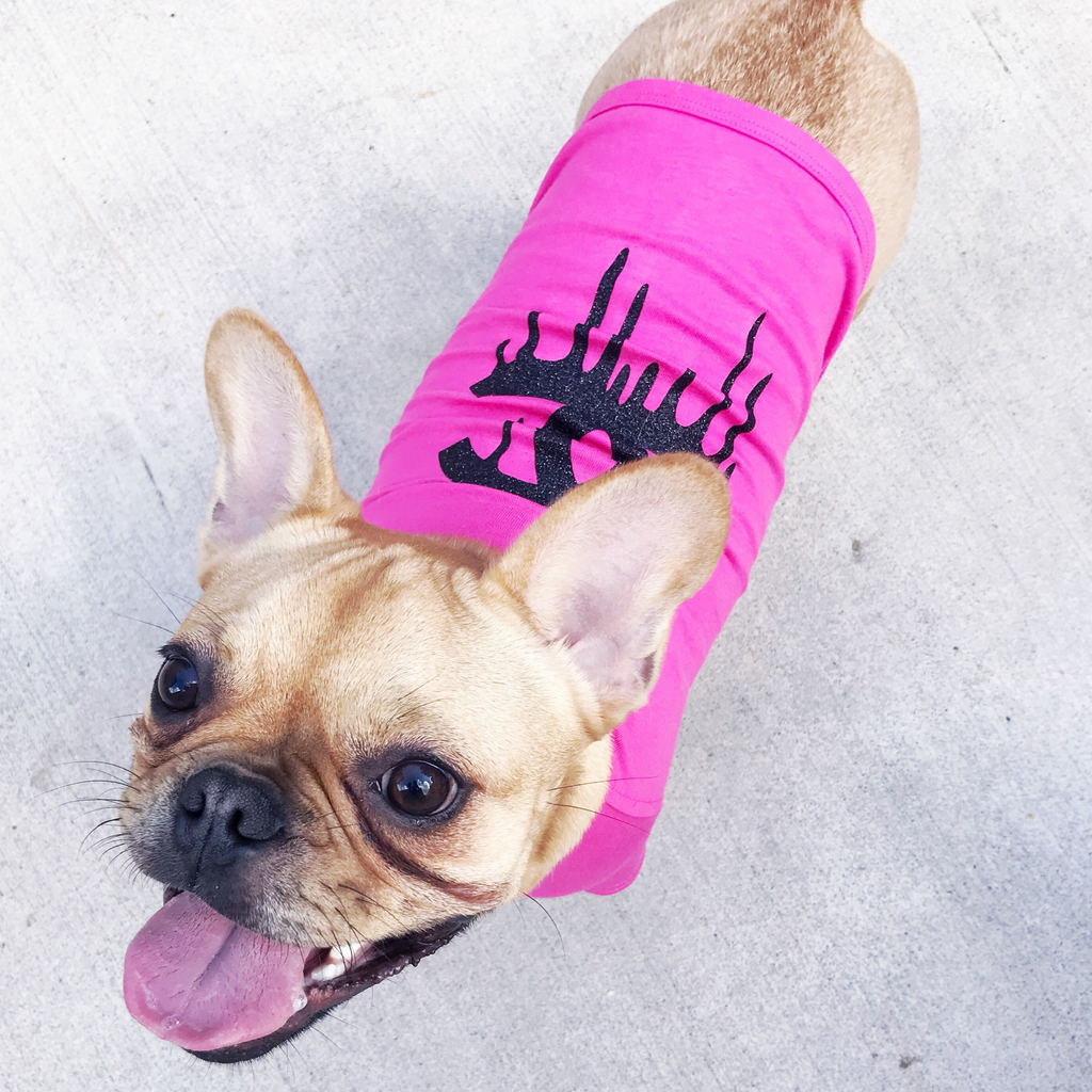 Dog wearing a pink shirt with a black design on a light background