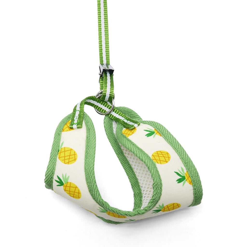 pineapple harness & leash set- yellow