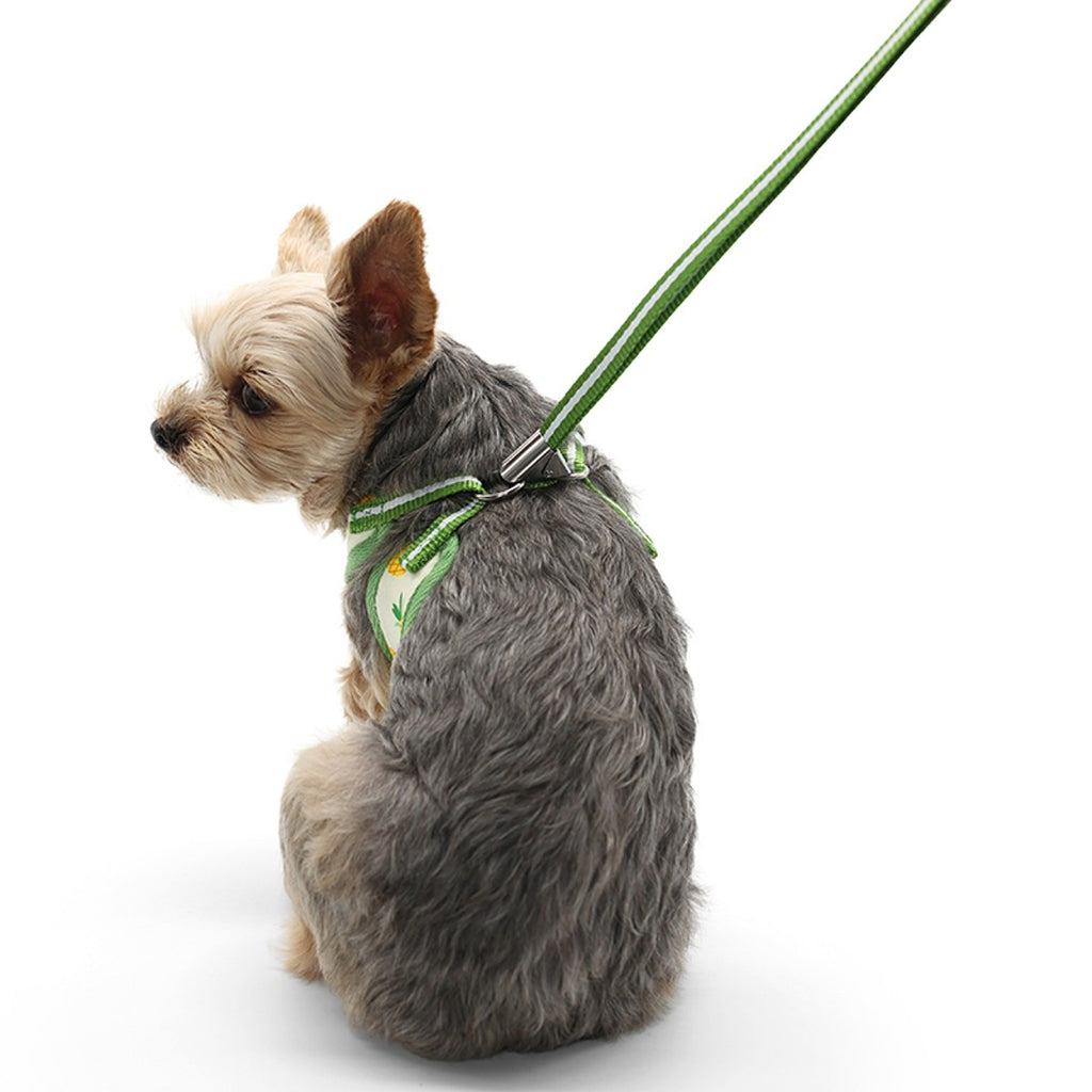 pineapple harness & leash set- yellow