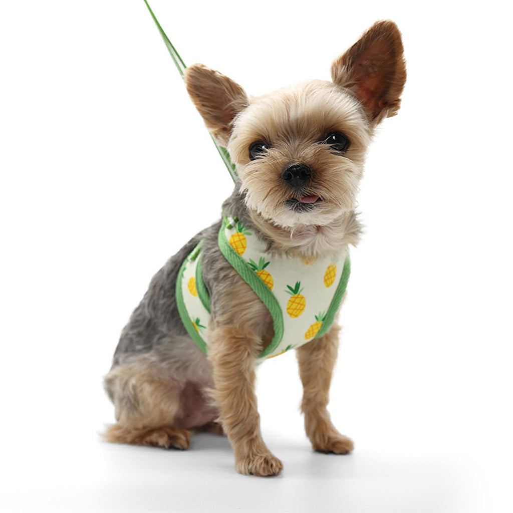 pineapple harness & leash set- yellow