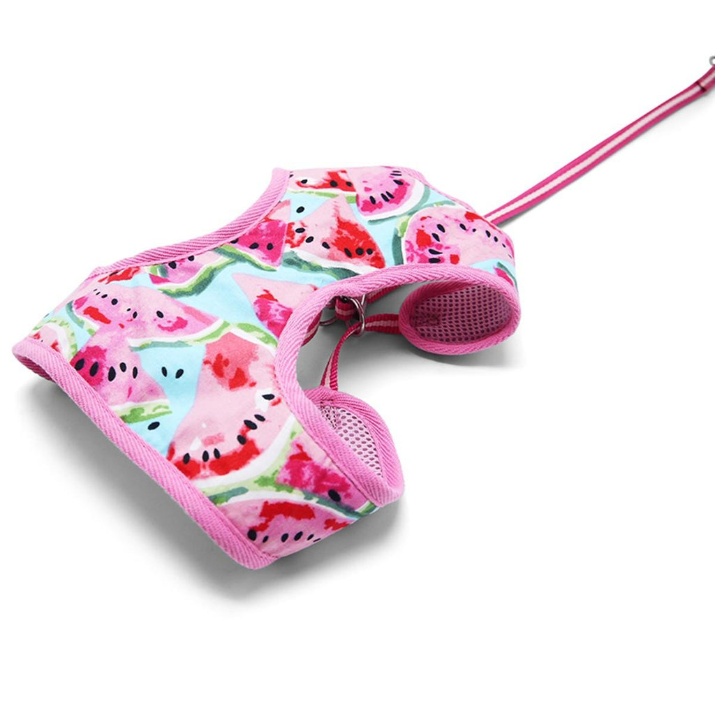 watermelon harness & leash set- pink