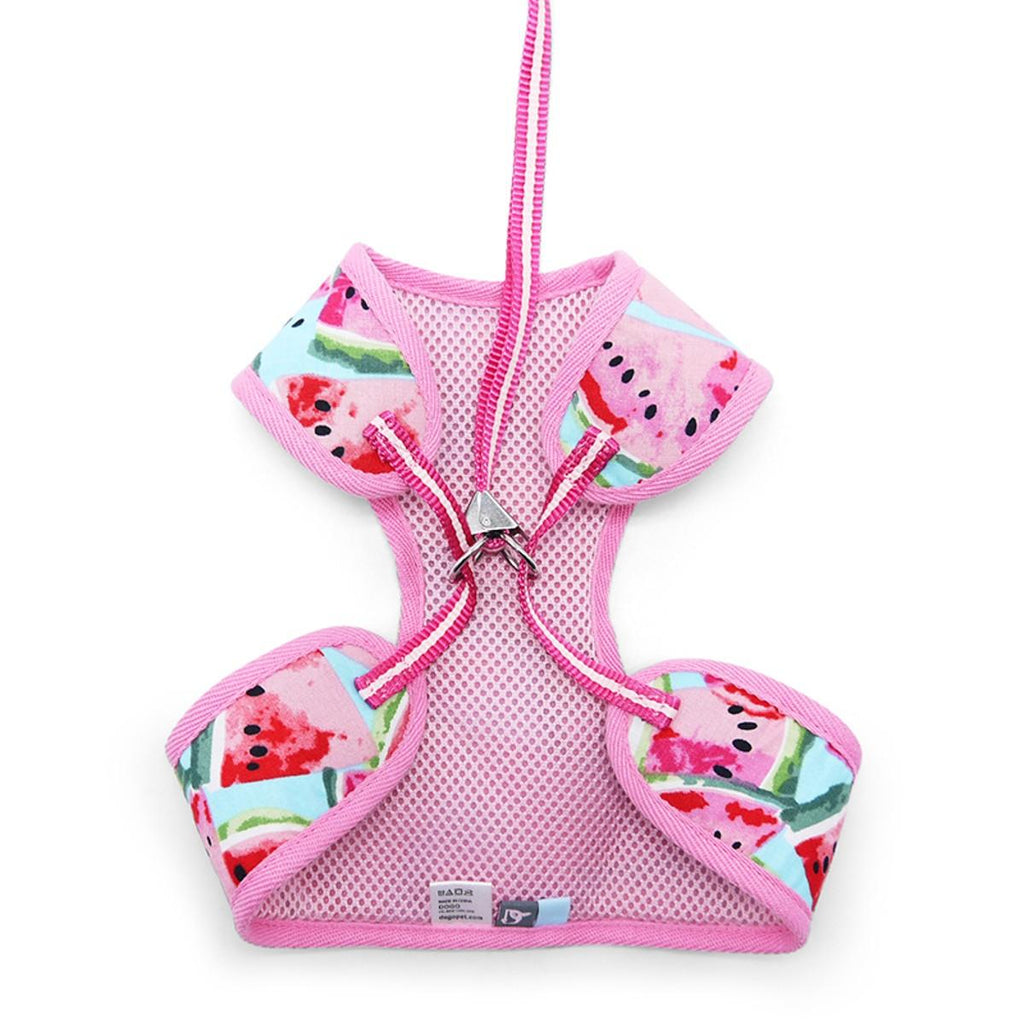 watermelon harness & leash set- pink