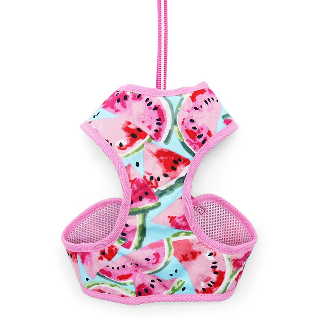 watermelon harness & leash set- pink