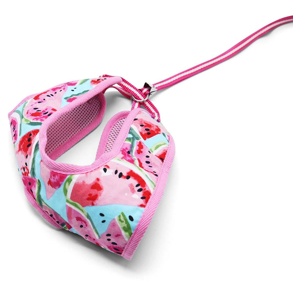 watermelon harness & leash set- pink