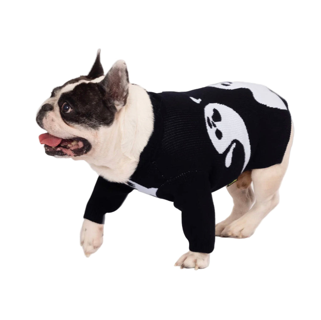 Dog wearing a black sweater with white paw print design on a white background
