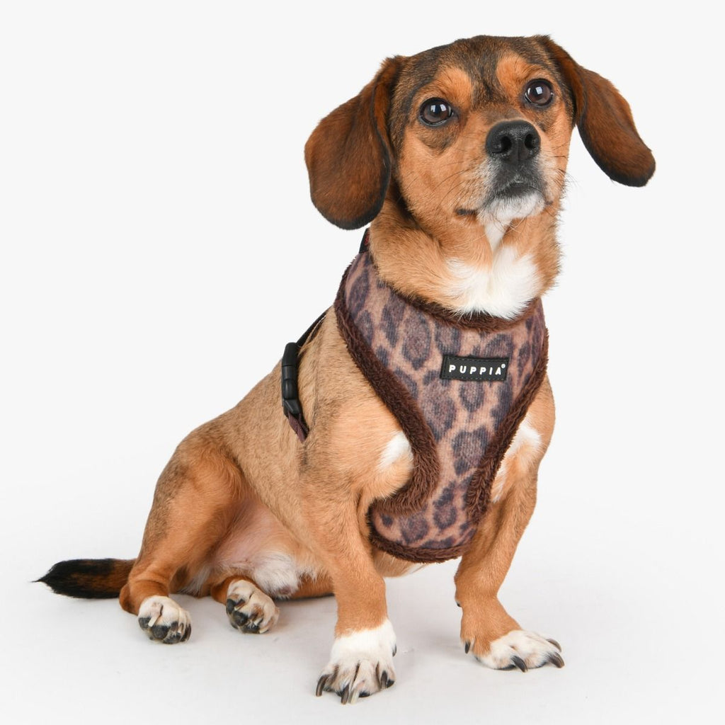 kovo leopard print harness A - brown