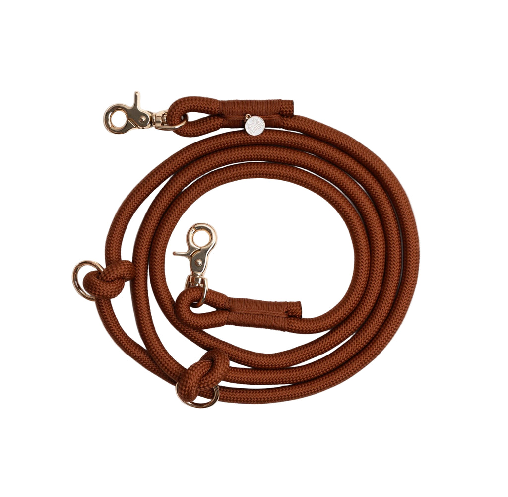Brown dog leash with metal clips on a white background