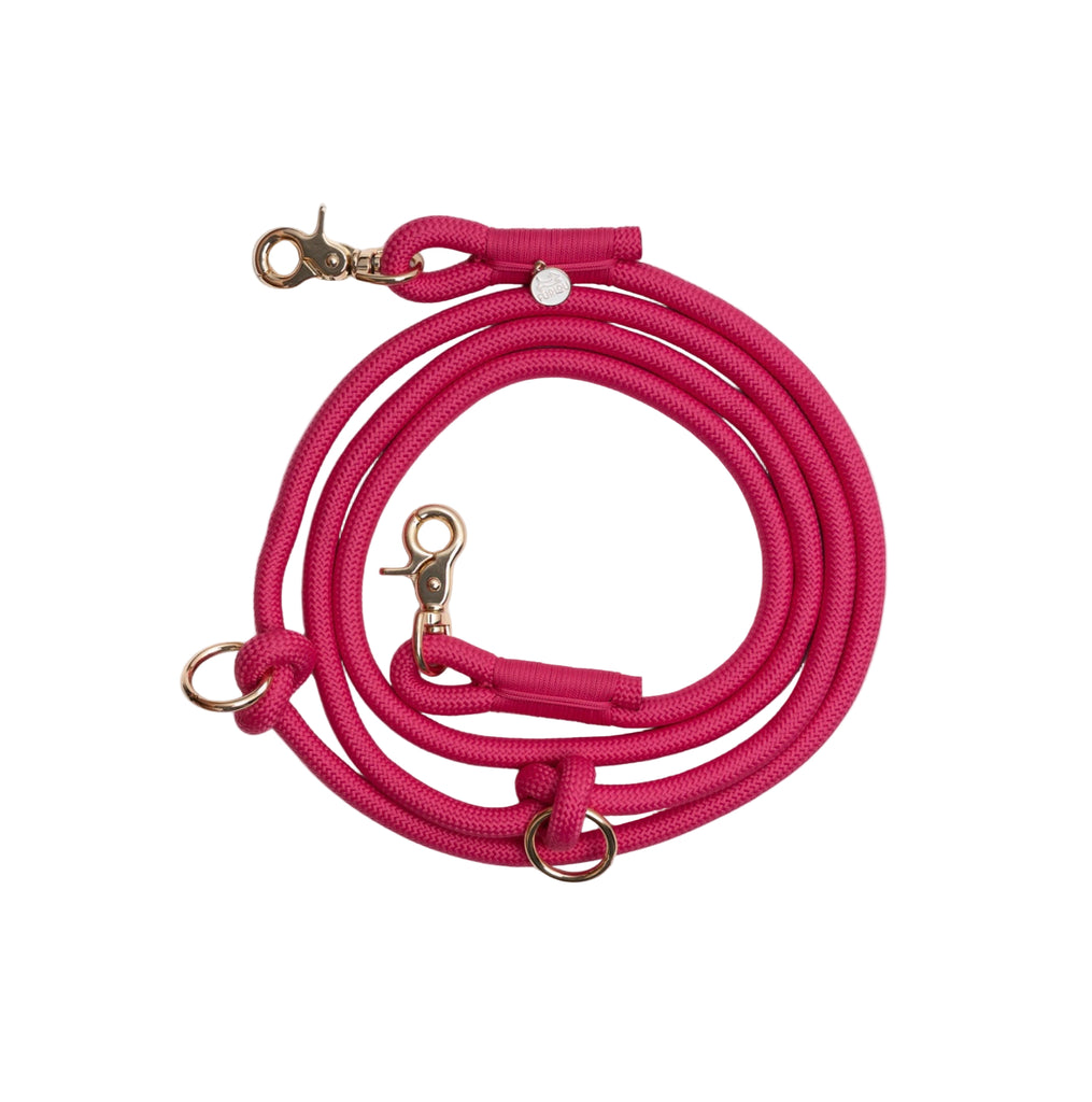 Pink dog leash with gold clips on a white background
