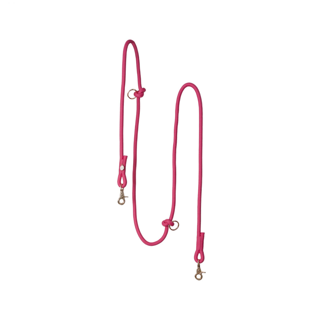 Pink dog leash on a white background