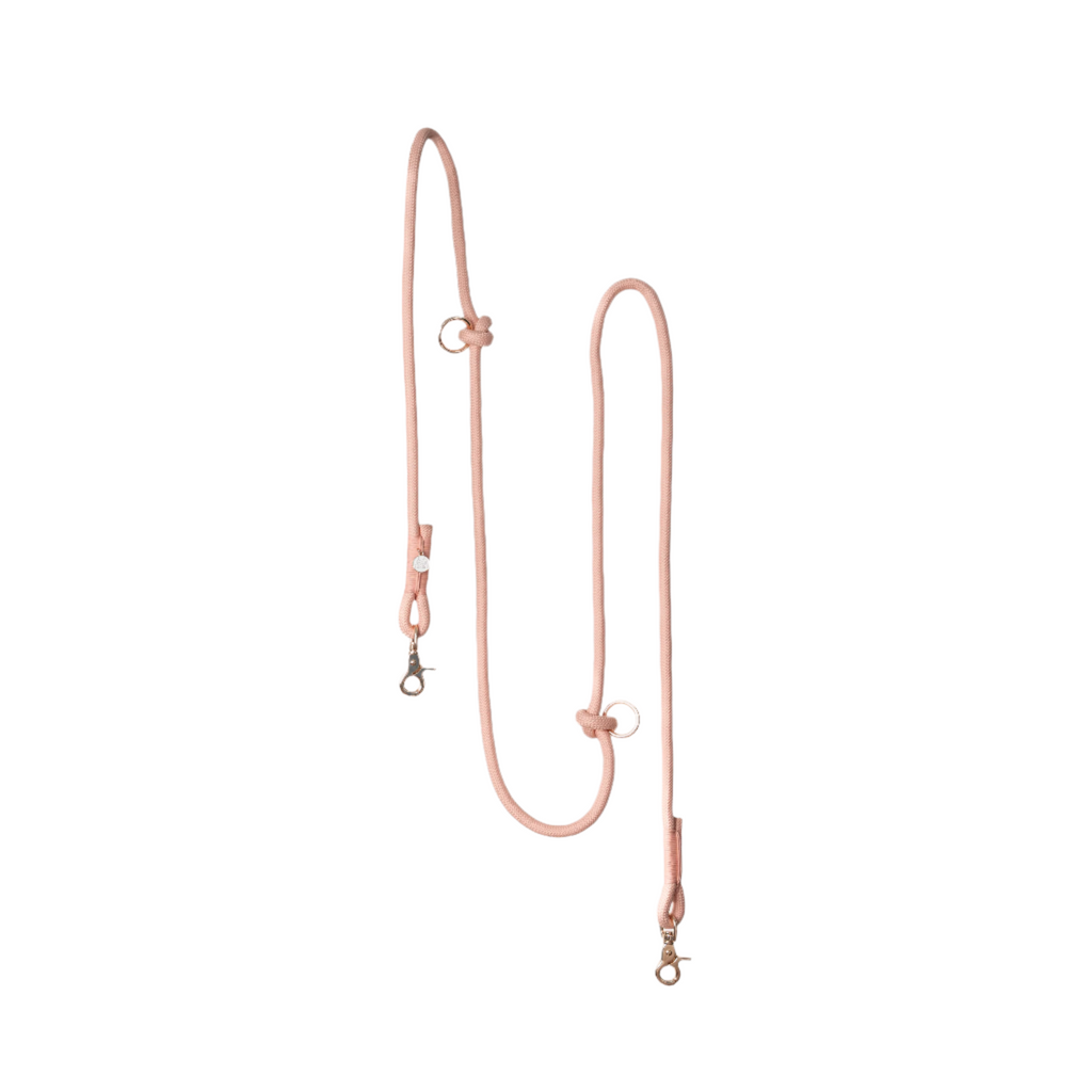 Rose gold dog leash on a white background