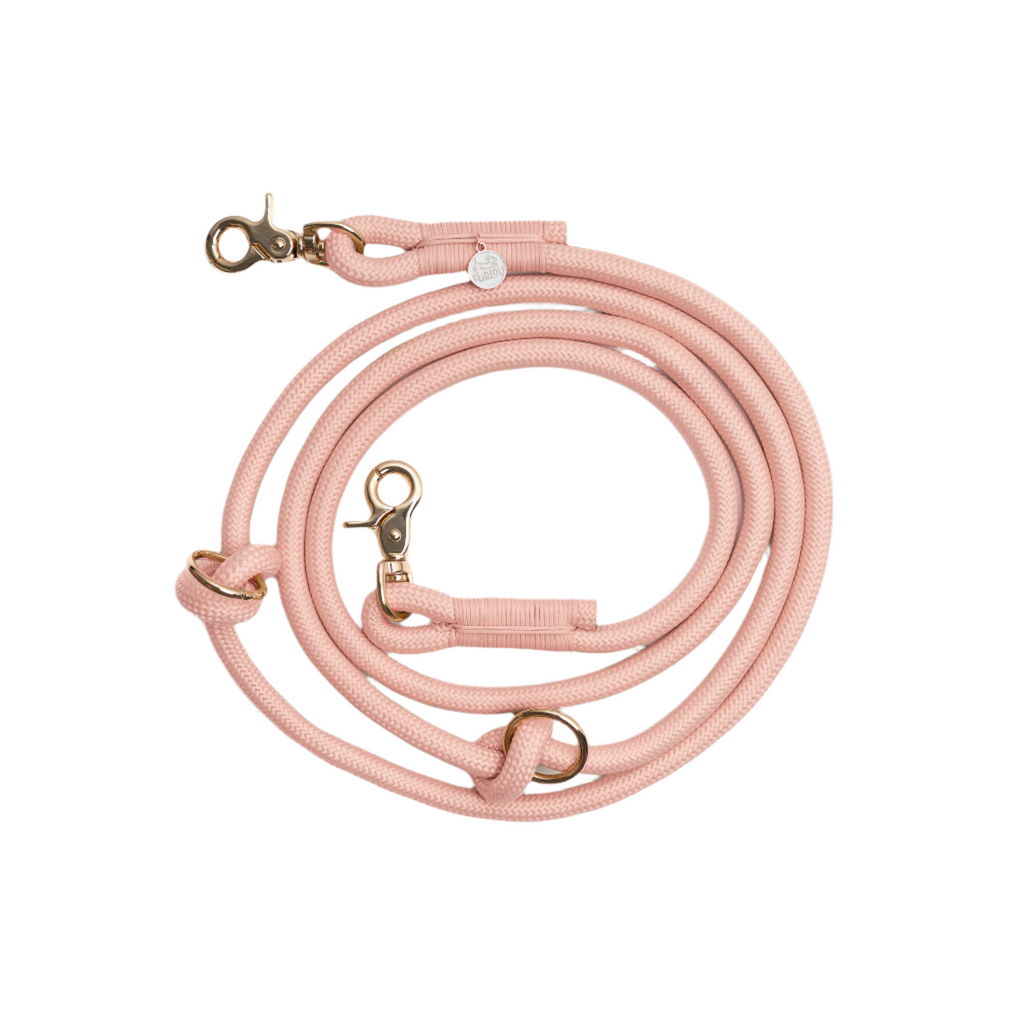 Pink dog leash with gold clasp on a white background