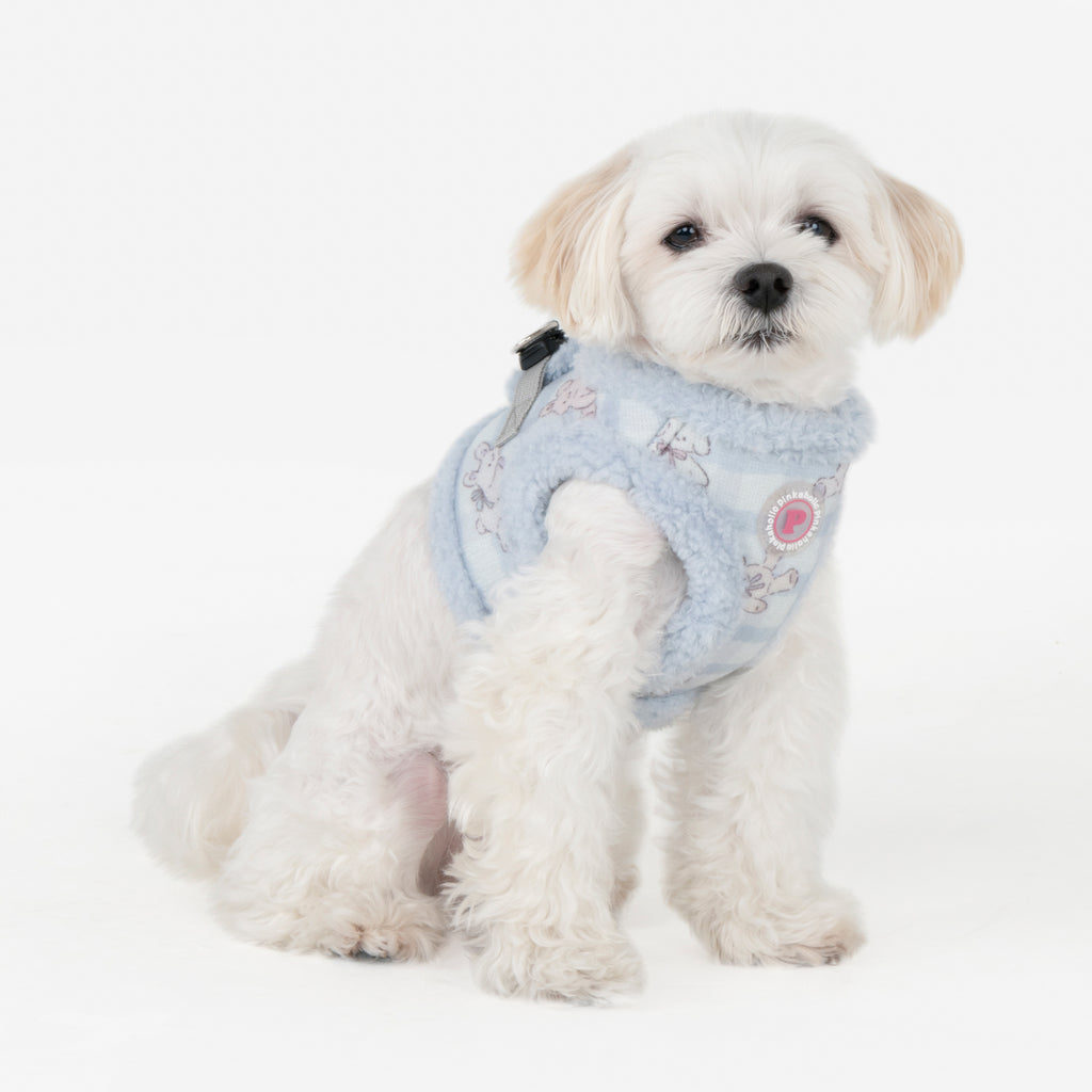 Small white dog wearing a light blue floral-patterned harness on a white background