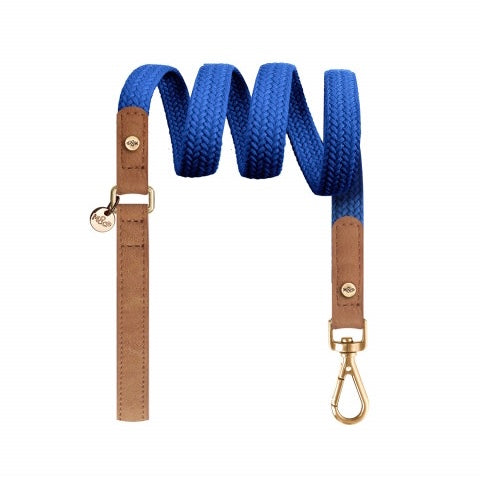 kaya flat blue leash