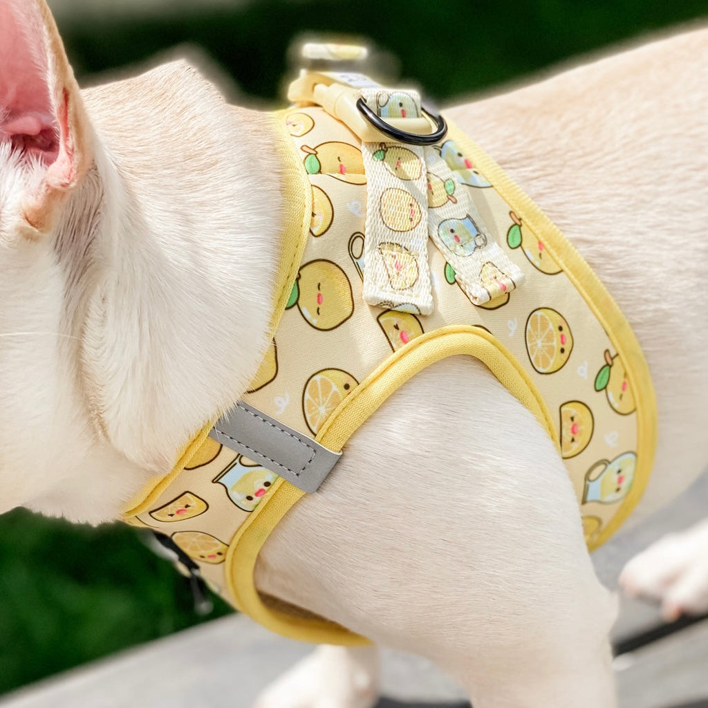 step-in dog harness - lemonade 🍋