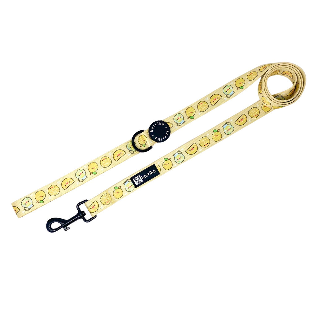 lemonade🍋 leash