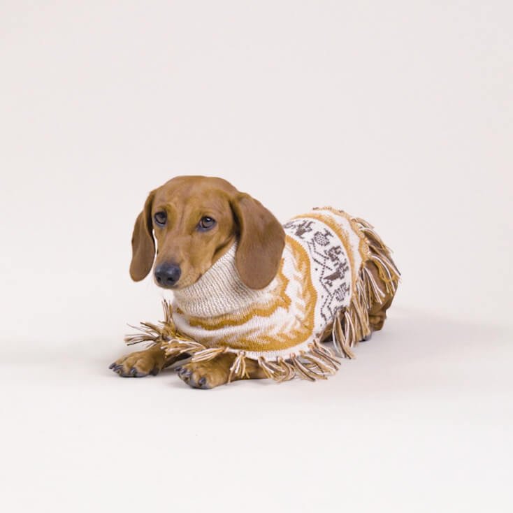 alpaca llama poncho