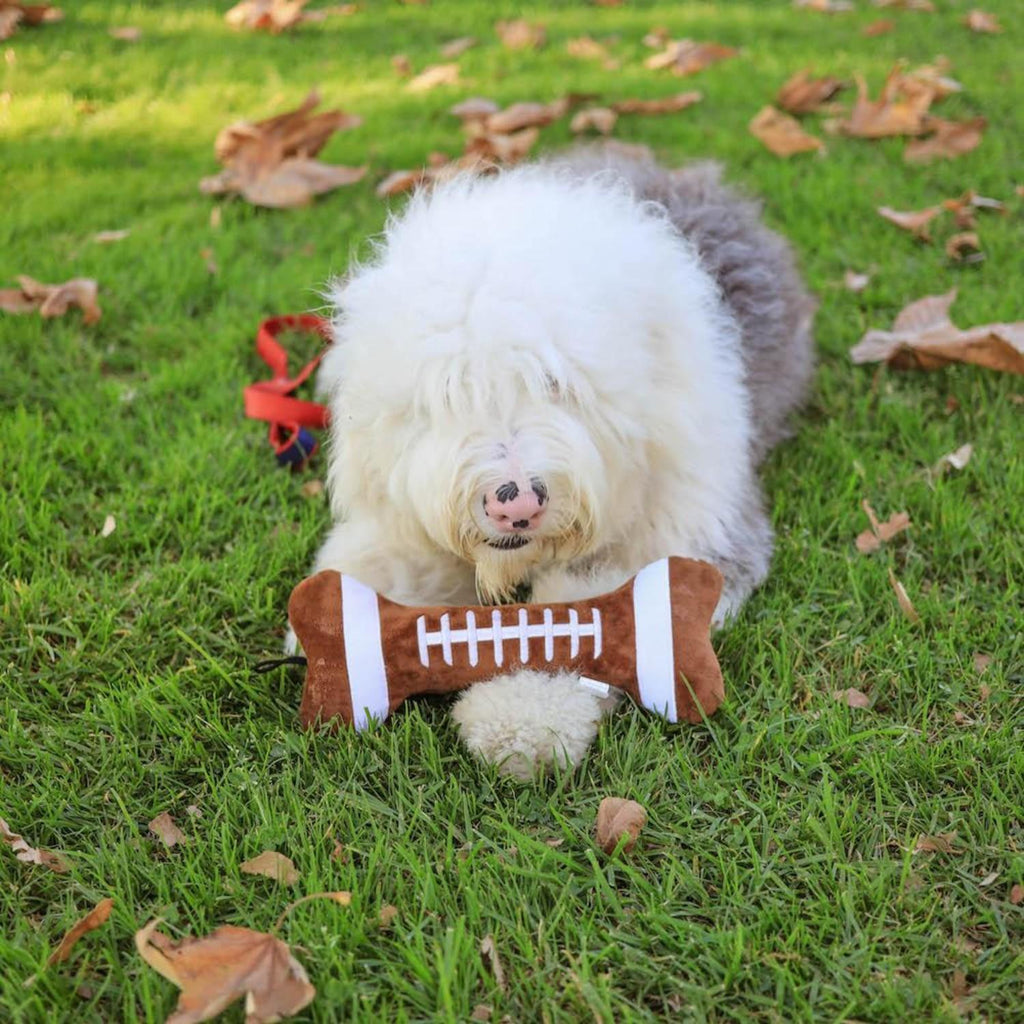 football plush bone toy