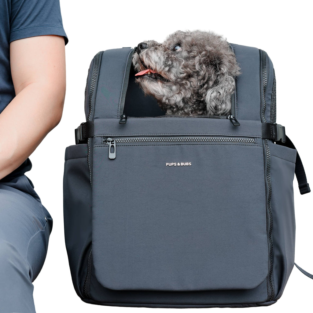 Dog peeking out from a gray backpack with 'Pups & Bubs' branding.