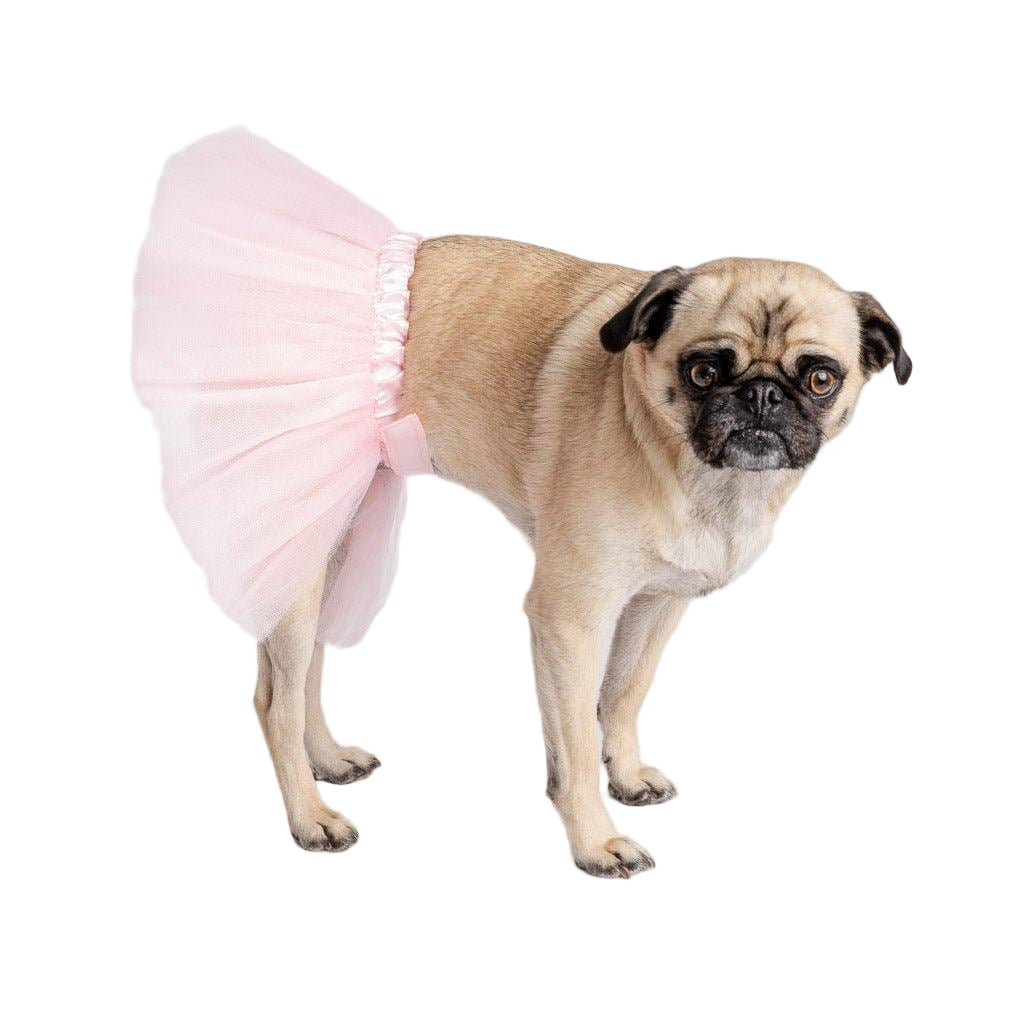 Pug wearing a pink tutu on a white background