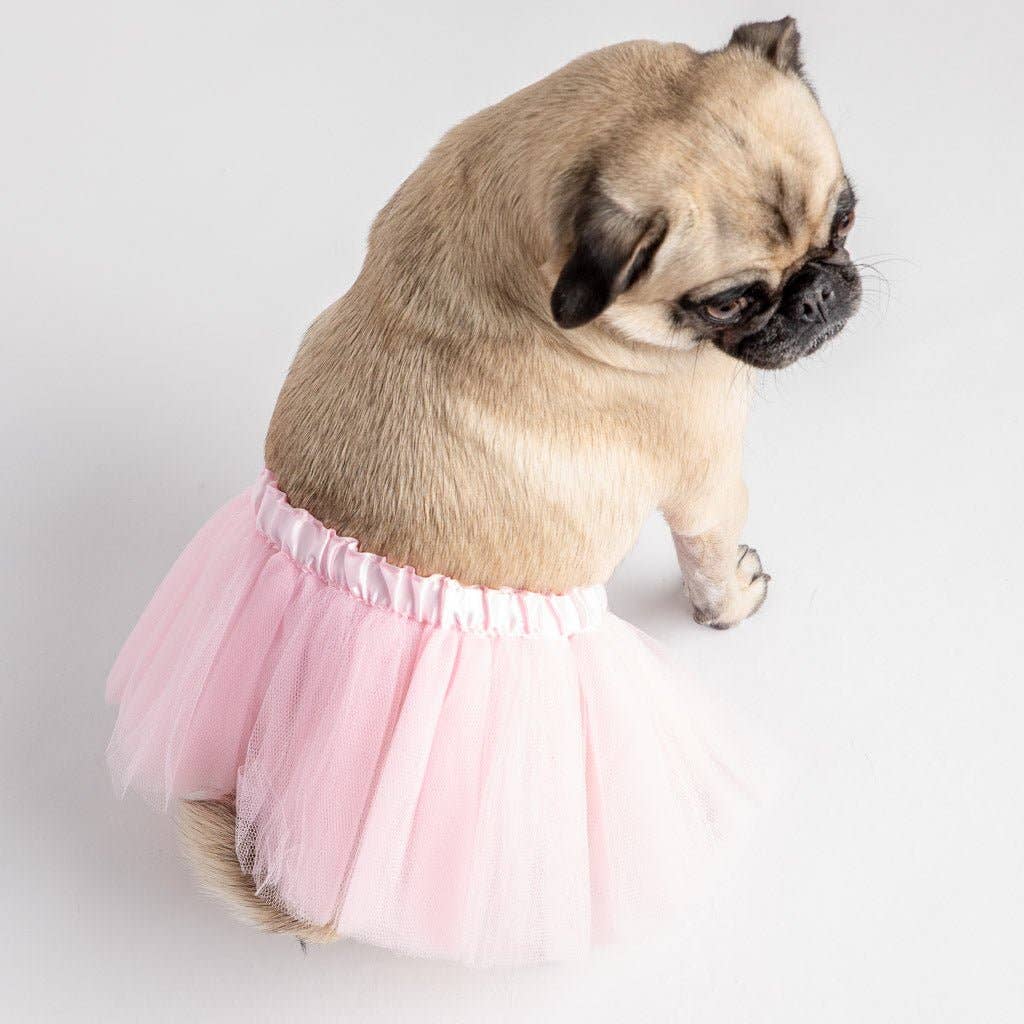 Pug wearing a pink tutu on a light gray background